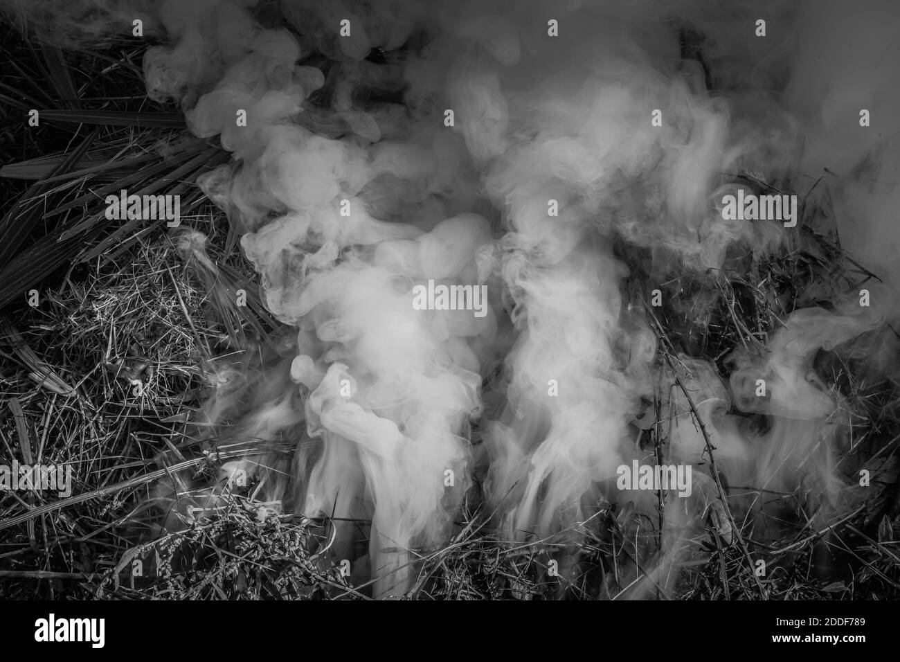 Fire smoke in the countryside Stock Photo Alamy
