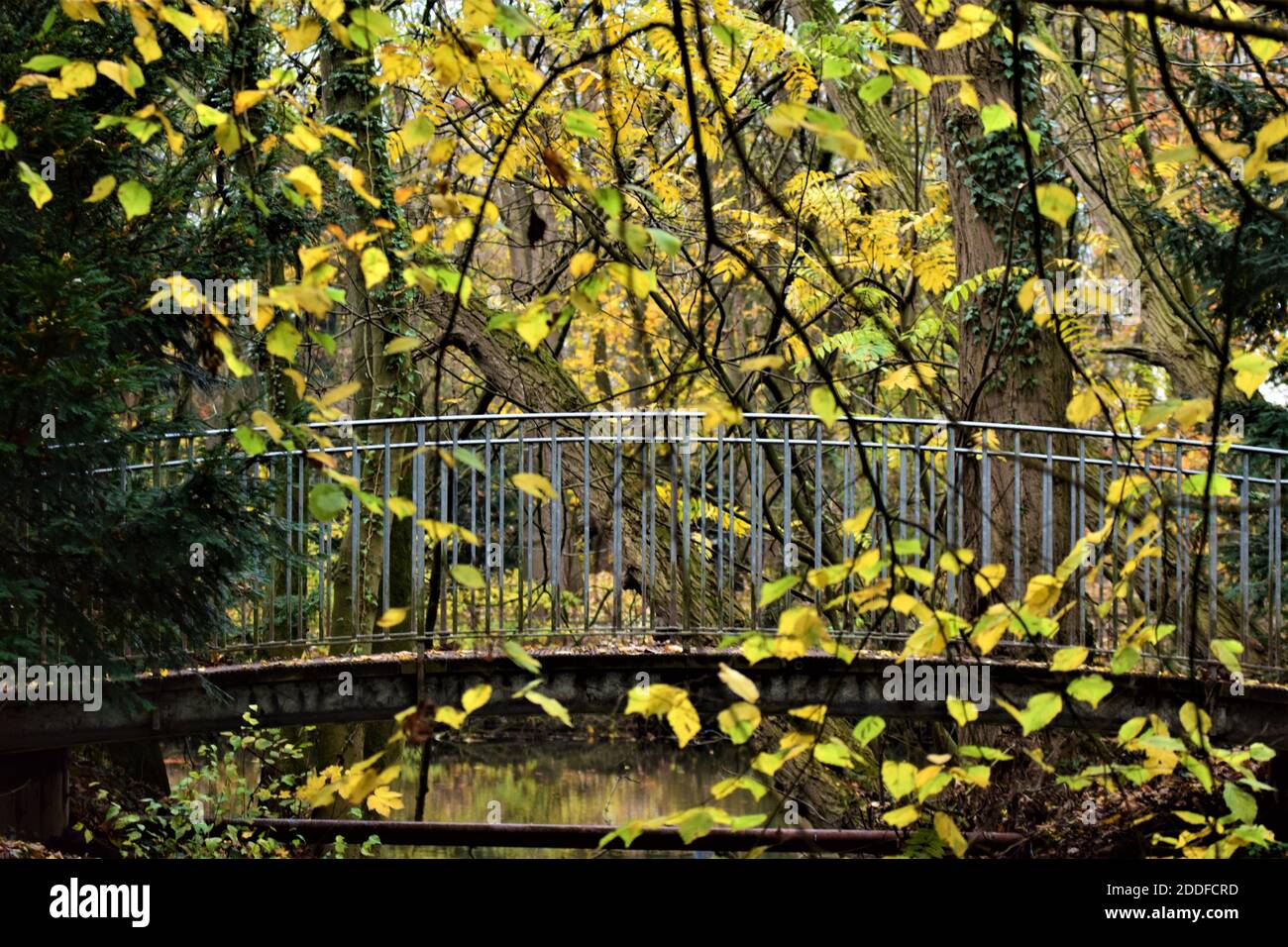 View path bridge in yellow hi-res stock photography and images - Alamy