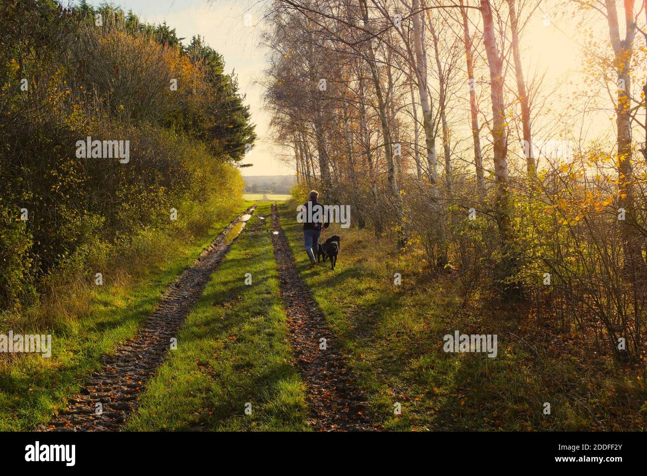Man walking in country lane hi-res stock photography and images - Alamy