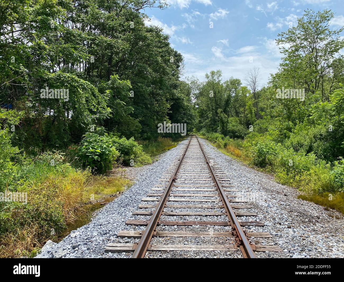 A railroad going through the forest on a cloudy day Stock Photo