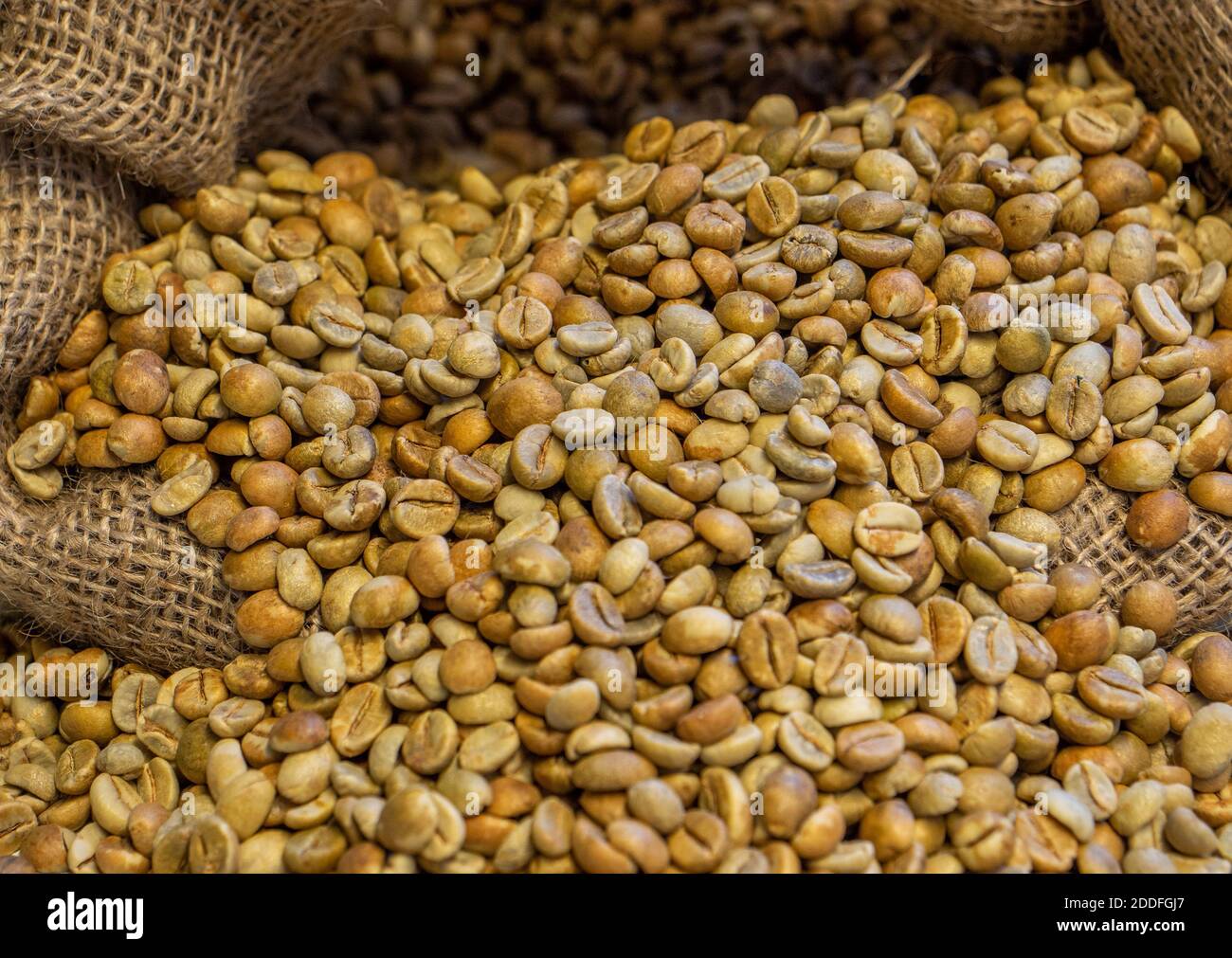 Green coffee beans hi-res stock photography and images - Alamy