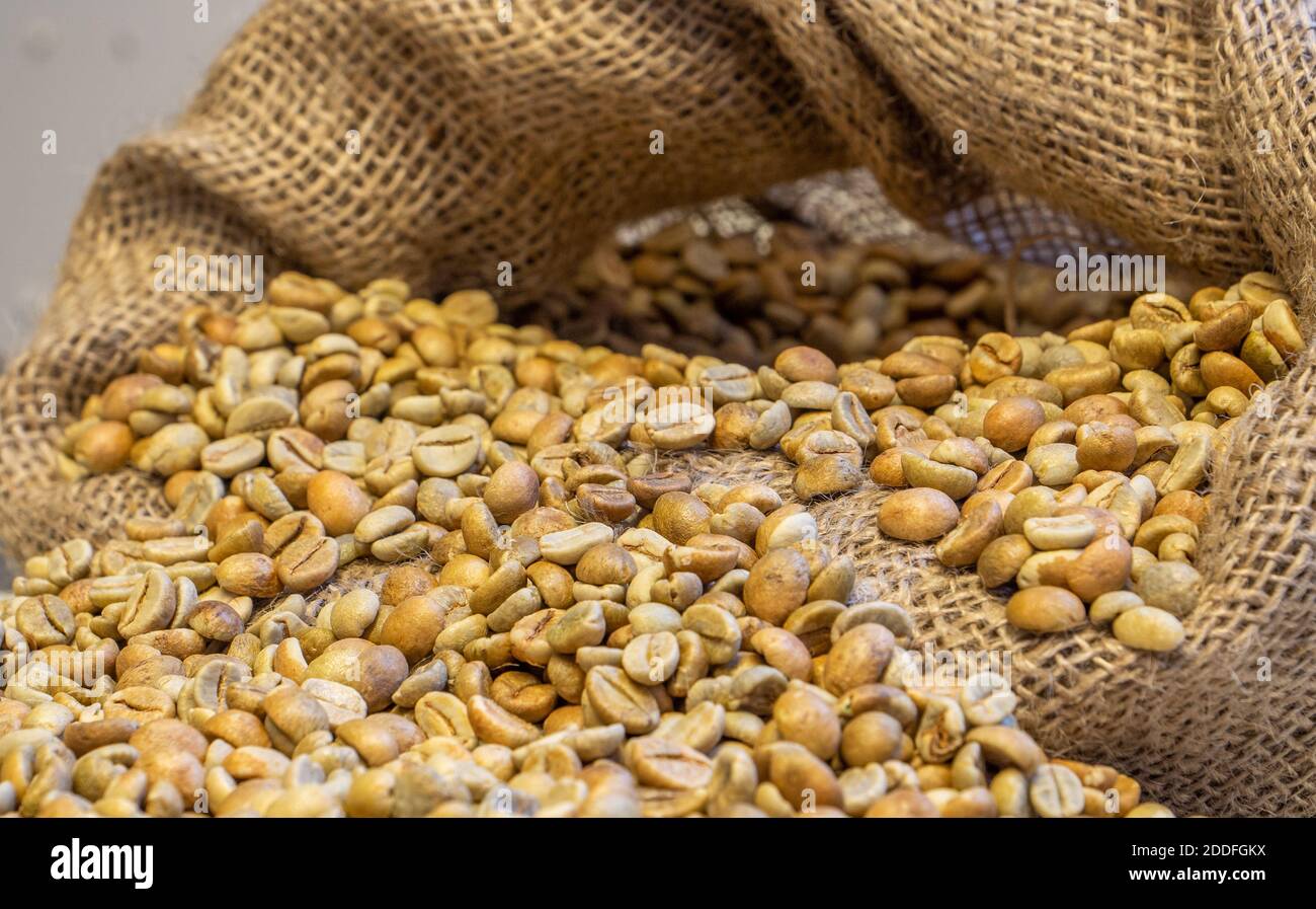 Green Coffee Beans in a hessian sack Stock Photo - Alamy