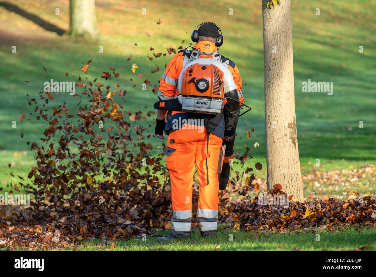Leaf blower, removal of autumn leaves in a city park Stock Photo Alamy