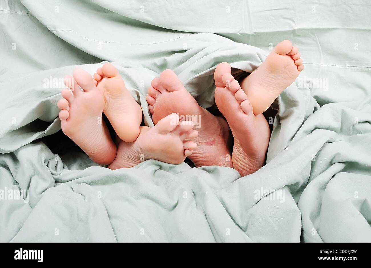 Happy familiy in bed under sheet Stock Photo Alamy