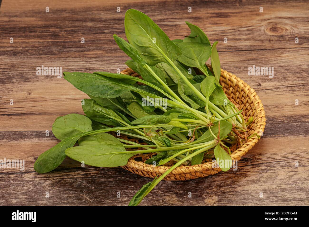 Vegan cuisine - Fresh green Spinach leaves heap Stock Photo - Alamy