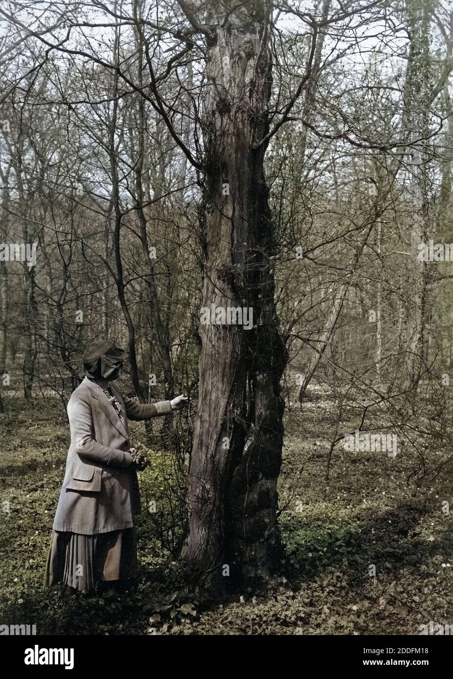 Eine Frau steht an einem Baum im Park von Brühl am Schloss, Deutschland 1920er Jahre. A woman standing by a tree at the gardens of the castle in Bruehl, Germany 1920s. Stock Photo