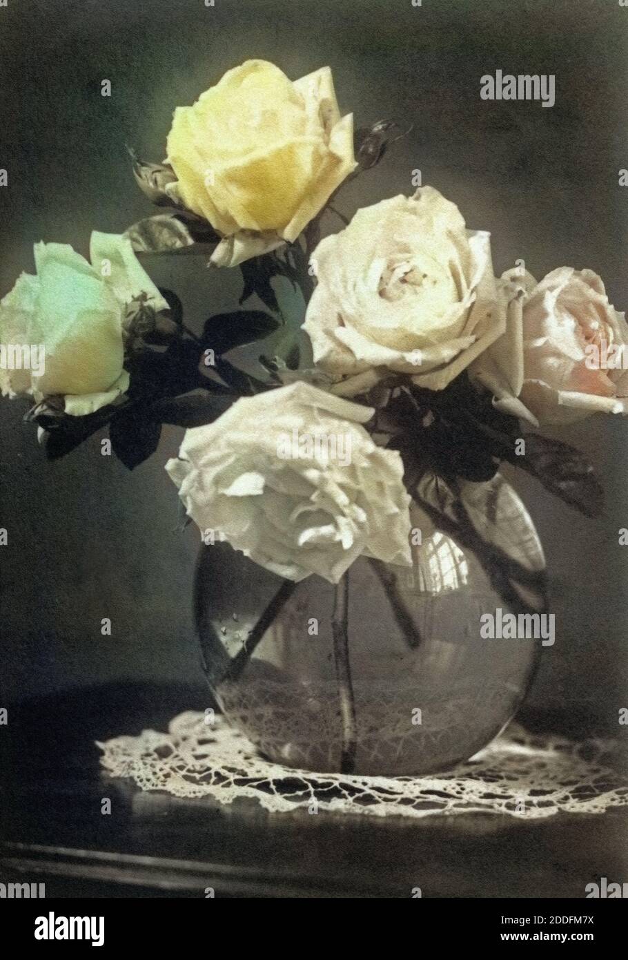 Rosen in einer Glasvase, arrangiert zu einem Stilleben, Deutschland 1930er Jahre. Roses in a glass vase as a still life, Germany 1930s. Stock Photo