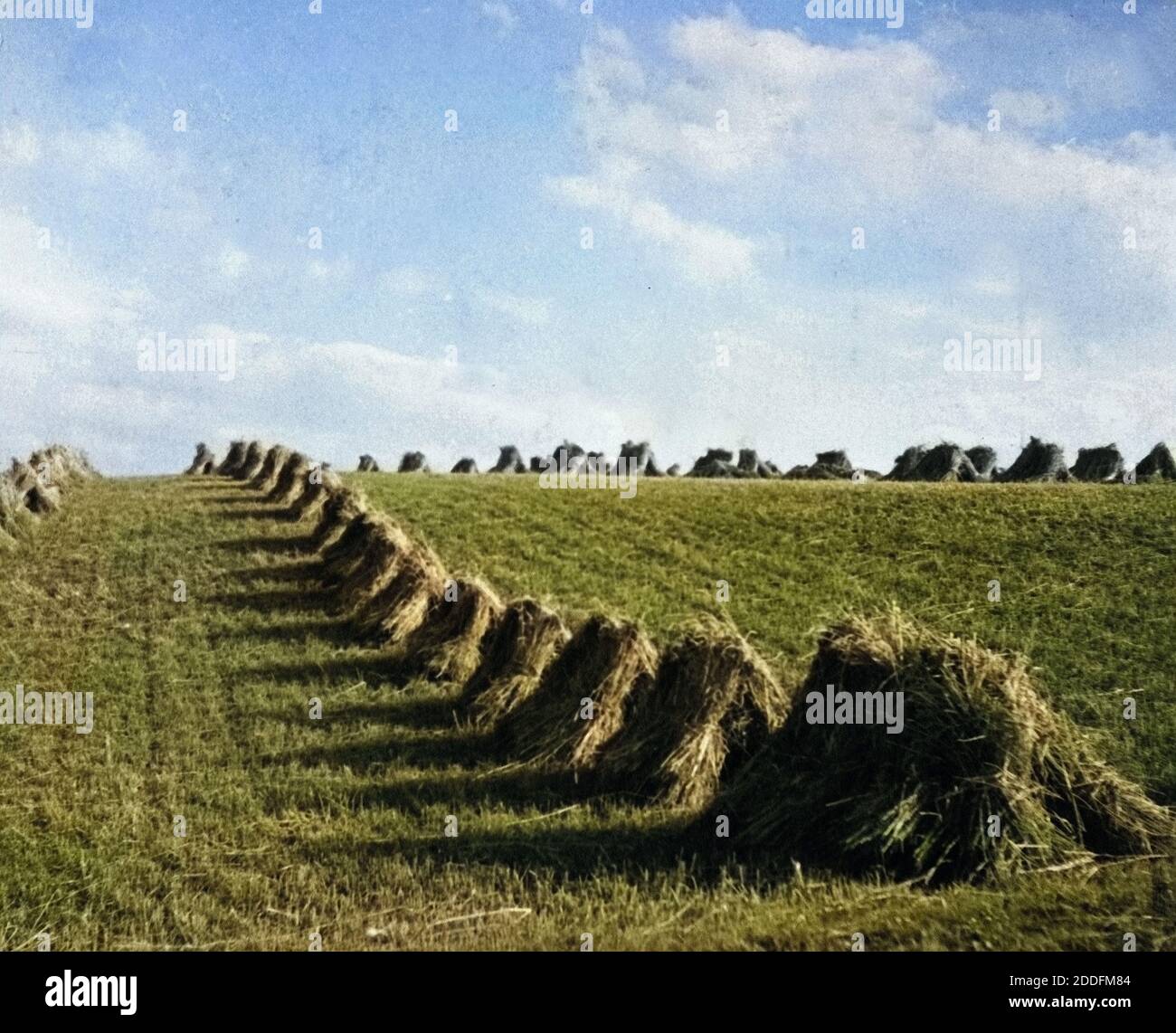 Heuernte im Sommer, Deutschland 1930er Jahre. Hay harvest in summer time, Germany 1930s. Stock Photo