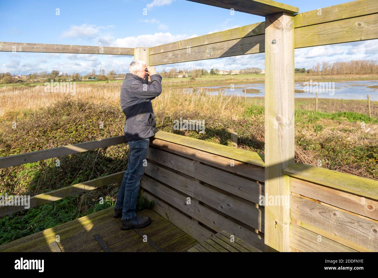 Male birdwatcher ornithologist using binoculars hide at RSPB Hollesley