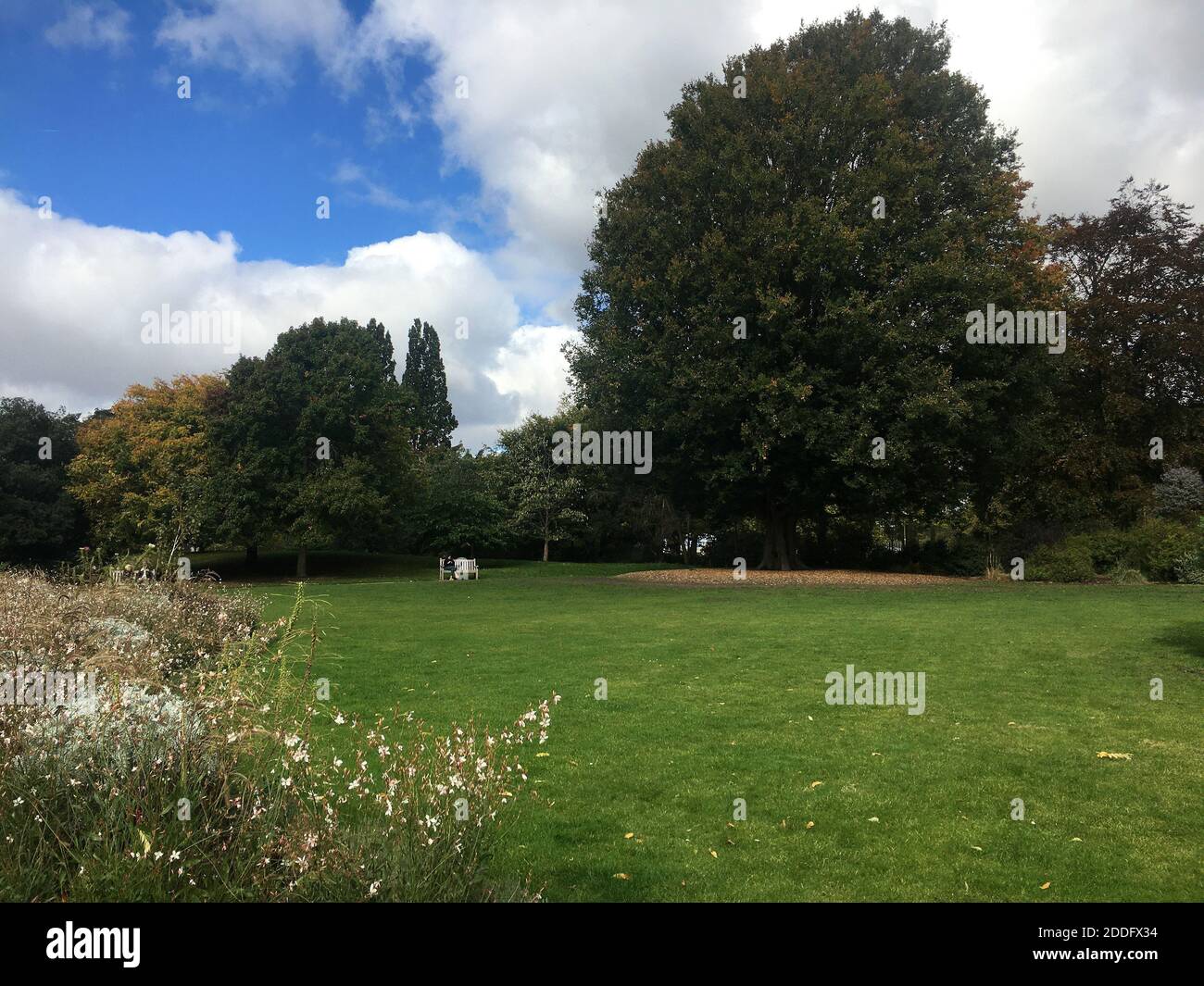 Nature environments hi-res stock photography and images - Alamy