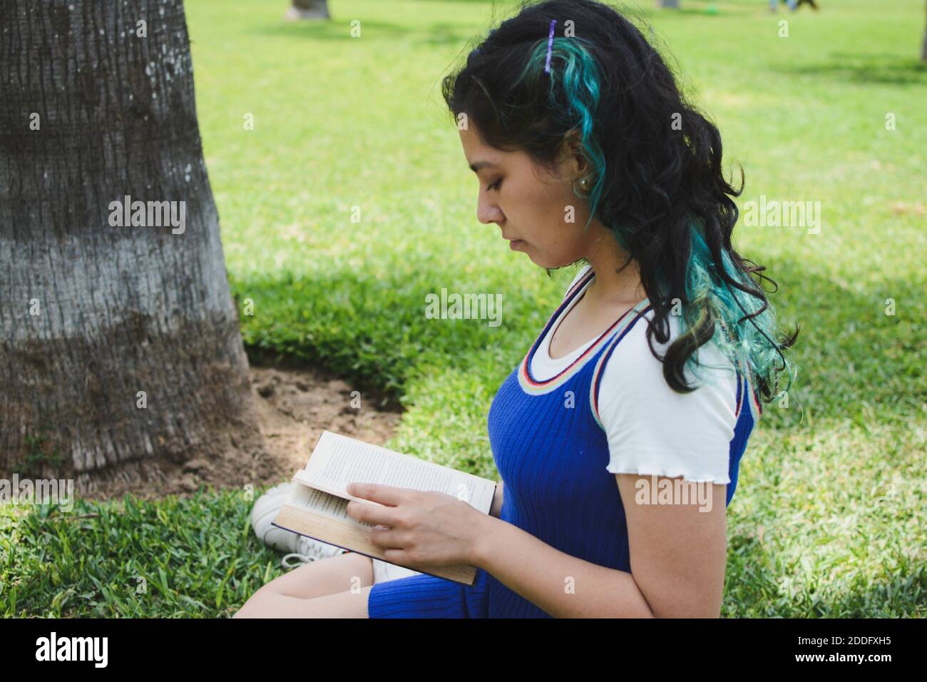 A young female sitting on the green grass in a park and reading a book ...