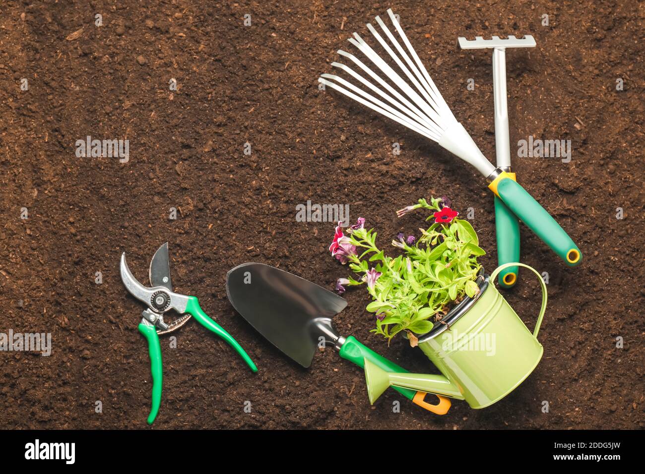 Supplies for gardening with plants on soil Stock Photo Alamy