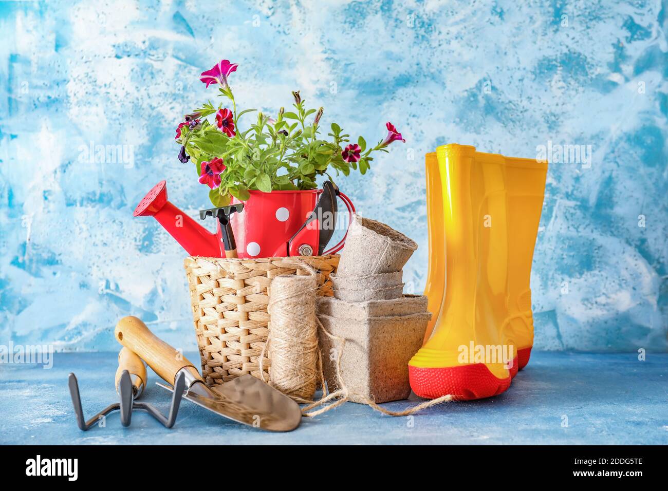 gardening-tools-with-gumboots-and-pot-flower-on-color-background-stock