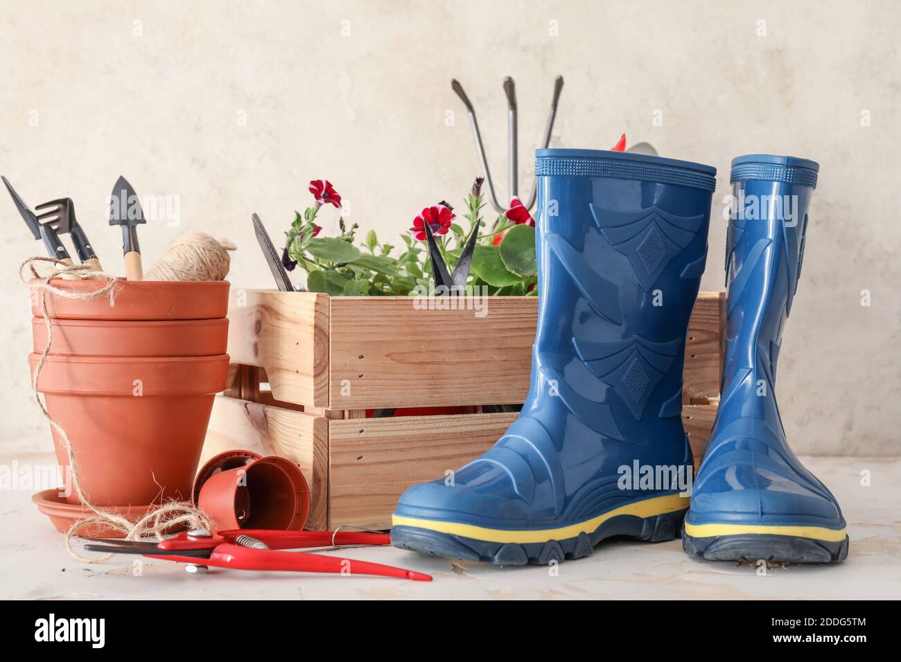 gardening-tools-with-gumboots-and-pot-flowers-on-light-background-stock