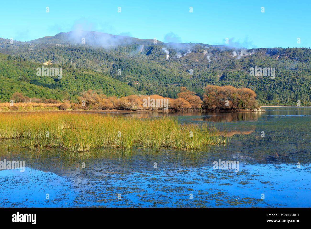 Lake Taupo, New Zealand, in autumn. Trees with fall foliage grow on the shore and steam rises from geothermal vents in the mountains Stock Photo