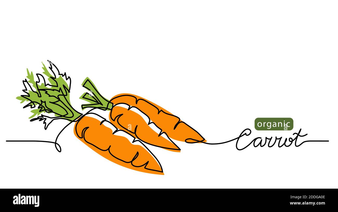 Carrot vector illustration, background. One line drawing art