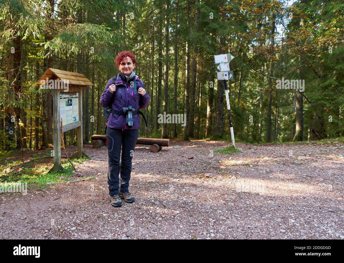 Tourist woman with camera hiking on a trail in the forests and ...