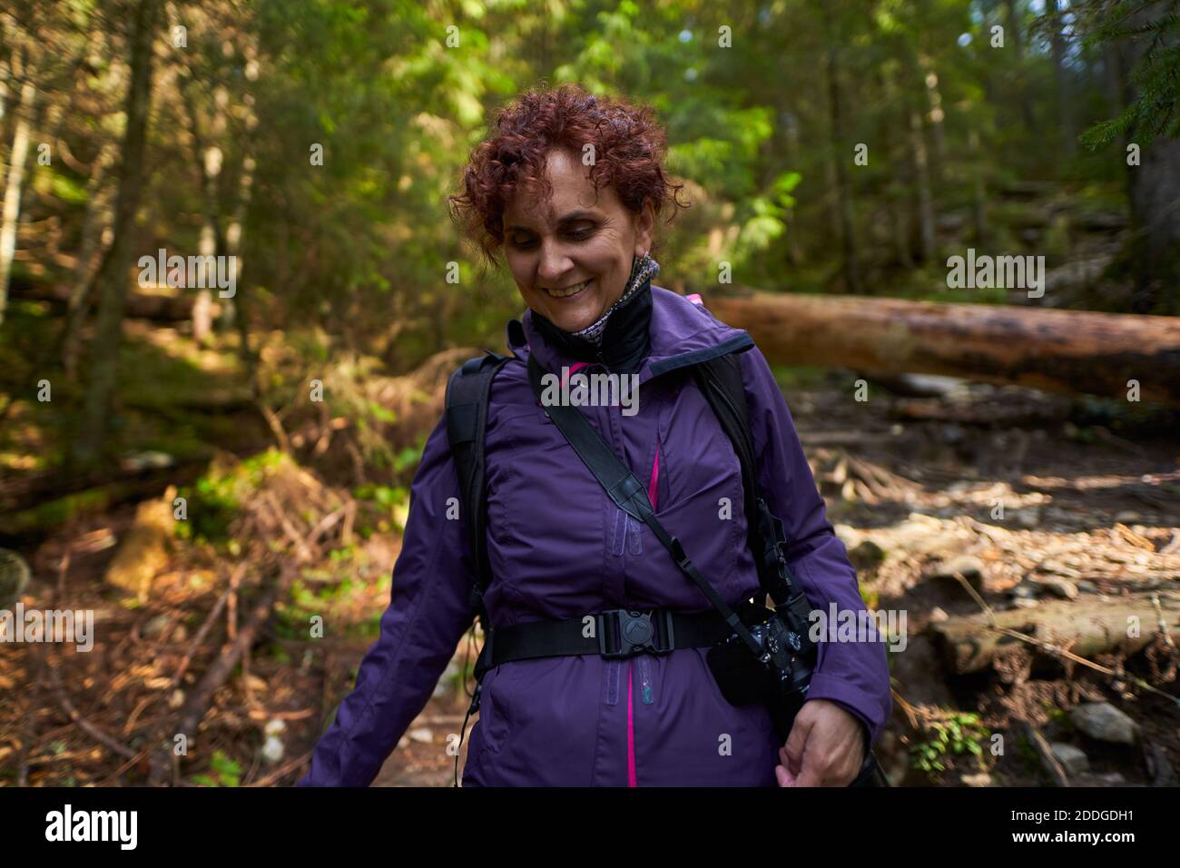 Tourist woman with camera hiking on a trail in the forests and ...