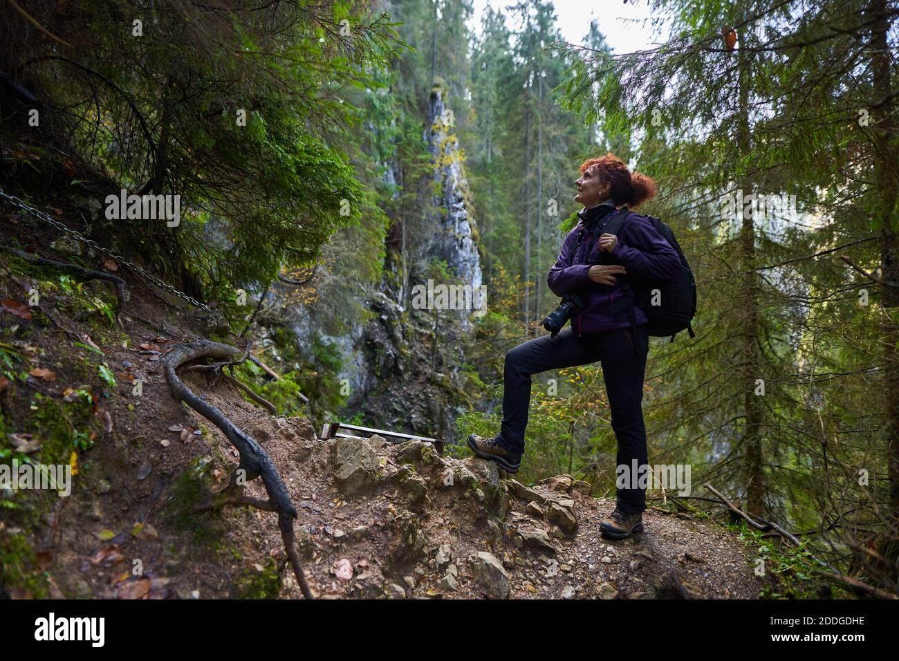 Tourist woman with camera hiking on a trail in the forests and ...