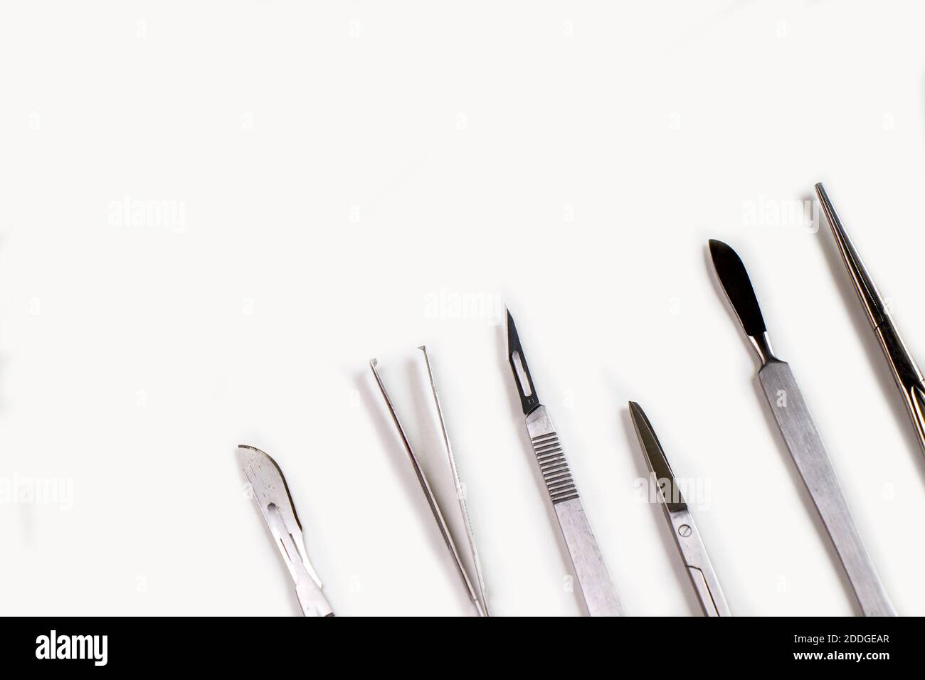 Dissection kit, stainless steel tools for medical students of anatomy