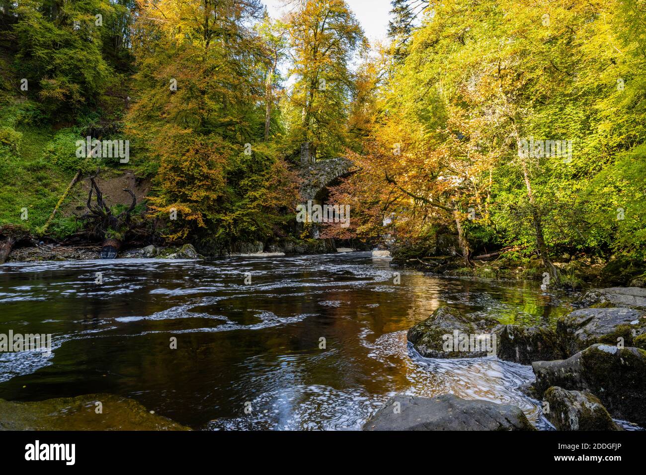 Autumn colours downstream of Black Linn Waterfall on the River Braan at The Hermitage near Dunkeld in Perthshire, Scotland, UK Stock Photo
