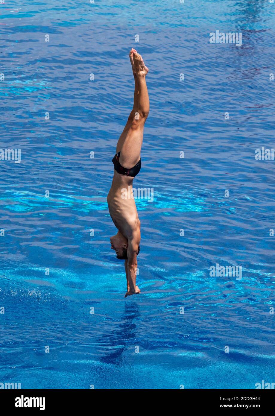 Springboard, Platform Diving Stock Photo Alamy