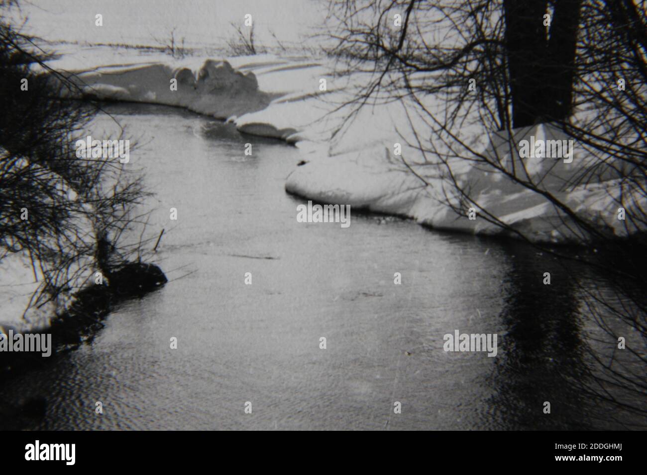 Fine 1970s vintage black and white photography of the natural beauty of ...