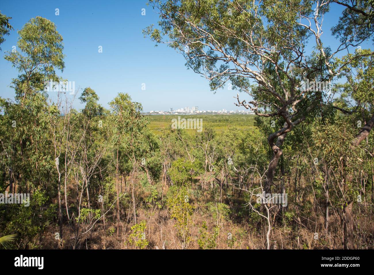 Scenic view over the lush greenery at Charles Darwin National Park in the Northern Territory of Australia Stock Photo