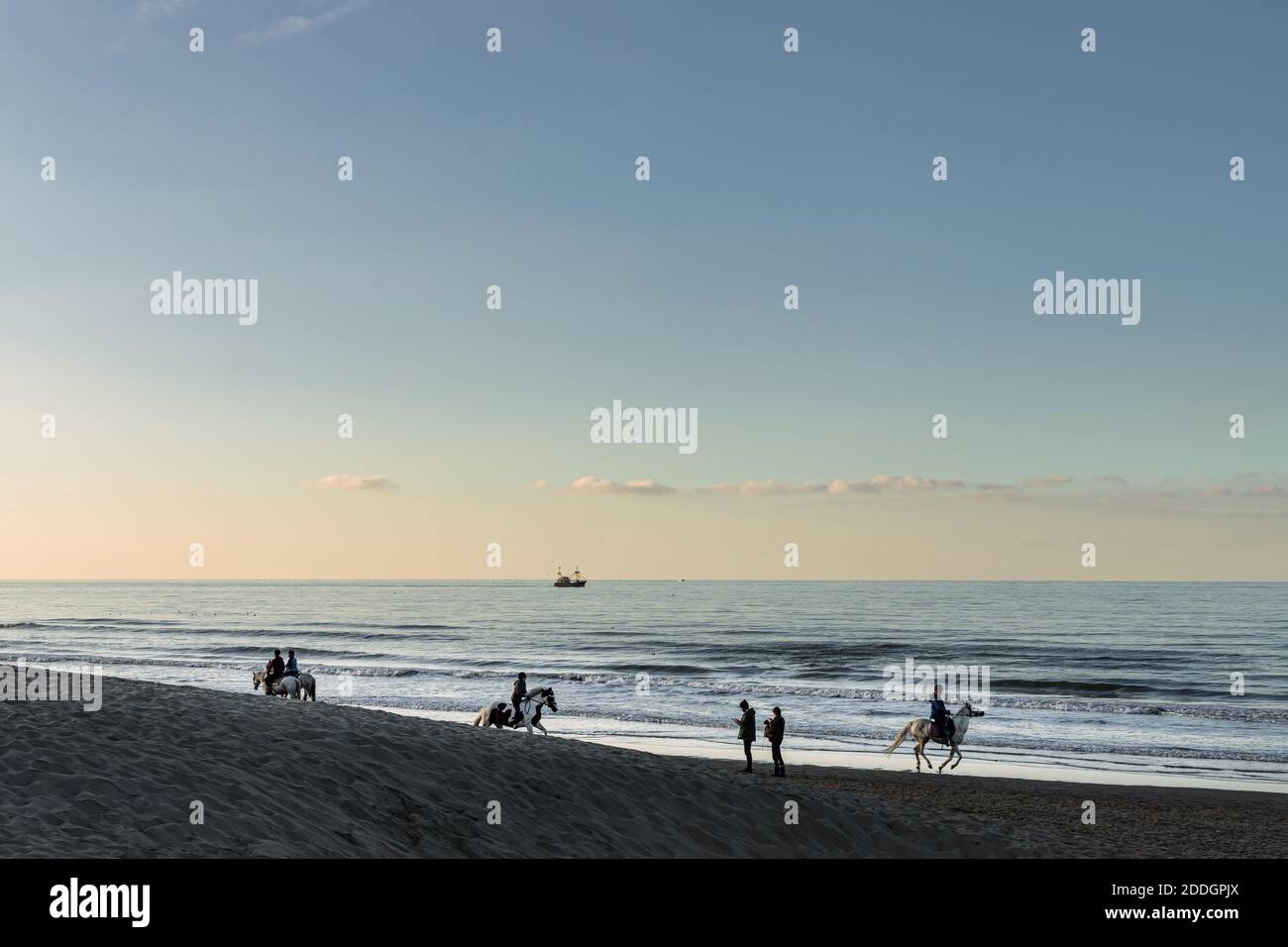 Oostduinkerke, Belgium - November 5, 2020: Horse riding on the beach at dusk Stock Photo