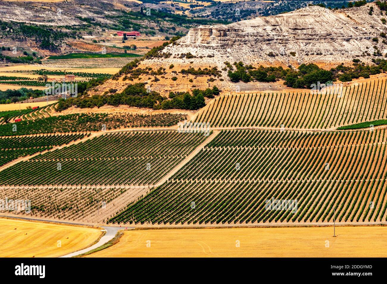 Valladolid, Spain. Grape fields of Valladolid Province taken from Penafiel Castle, Spain created in the 10th century and located at the Hill Stock Photo