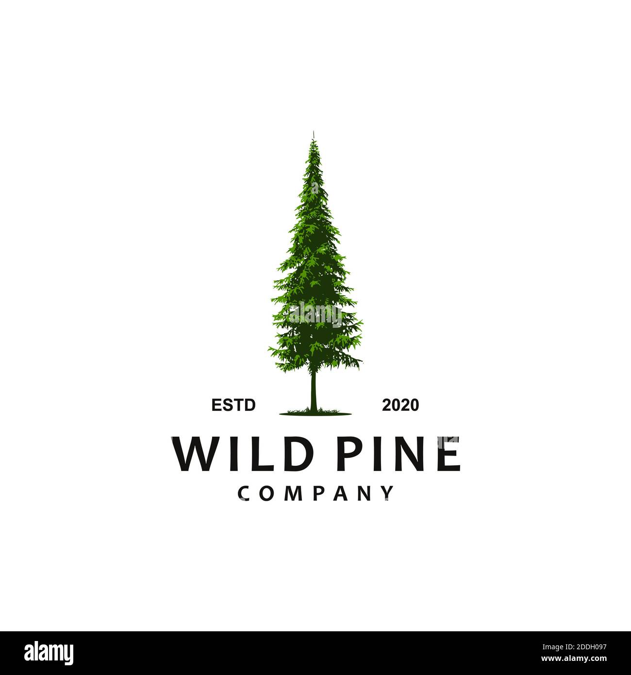 wild pine forest logo illustration Stock Photo Alamy