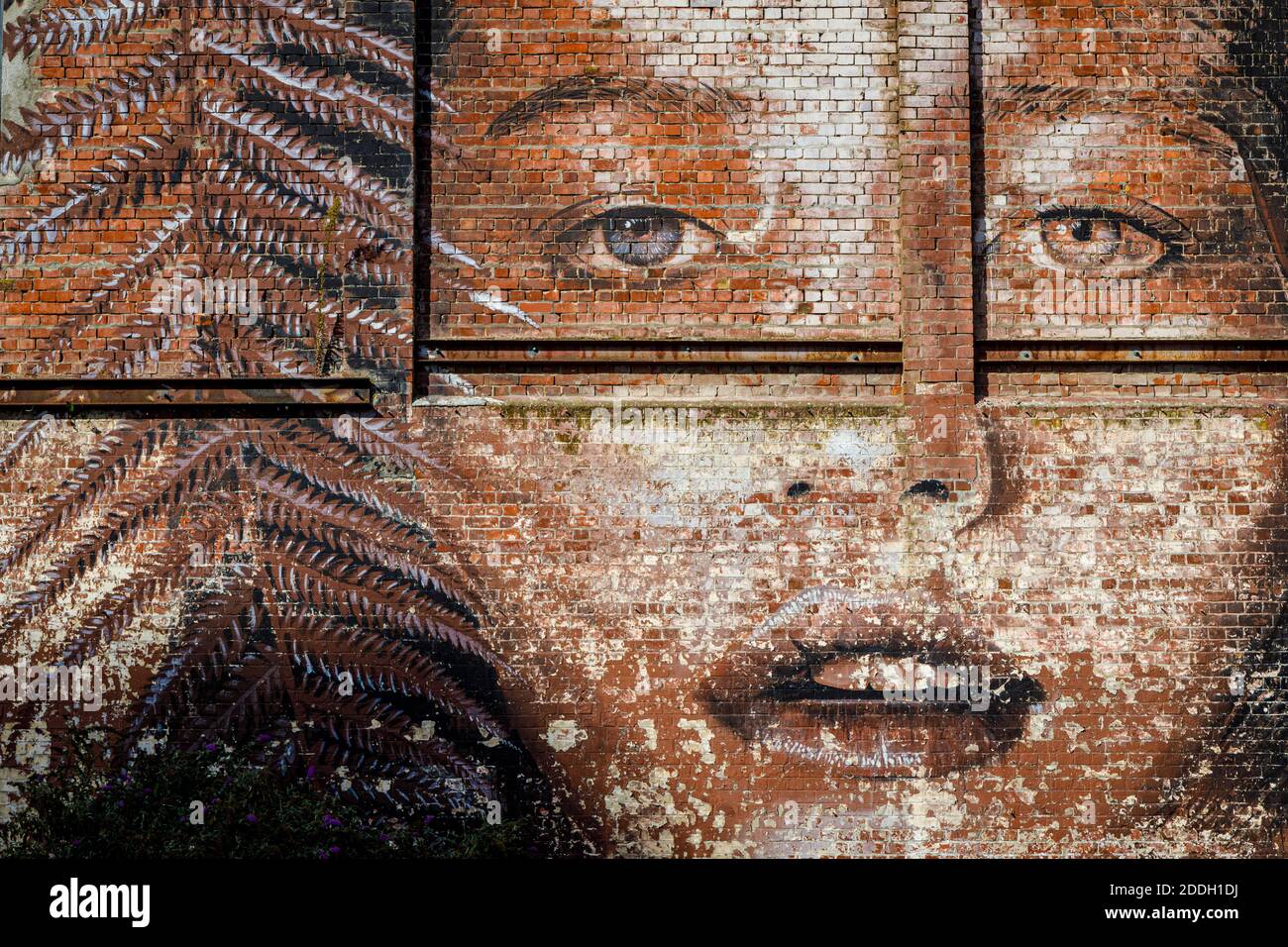 Australian model Teresa Oman as painted by Rone on the side of the Quest Hotel in 2013 for the Rise Festival, Christchurch, New Zealand. Stock Photo