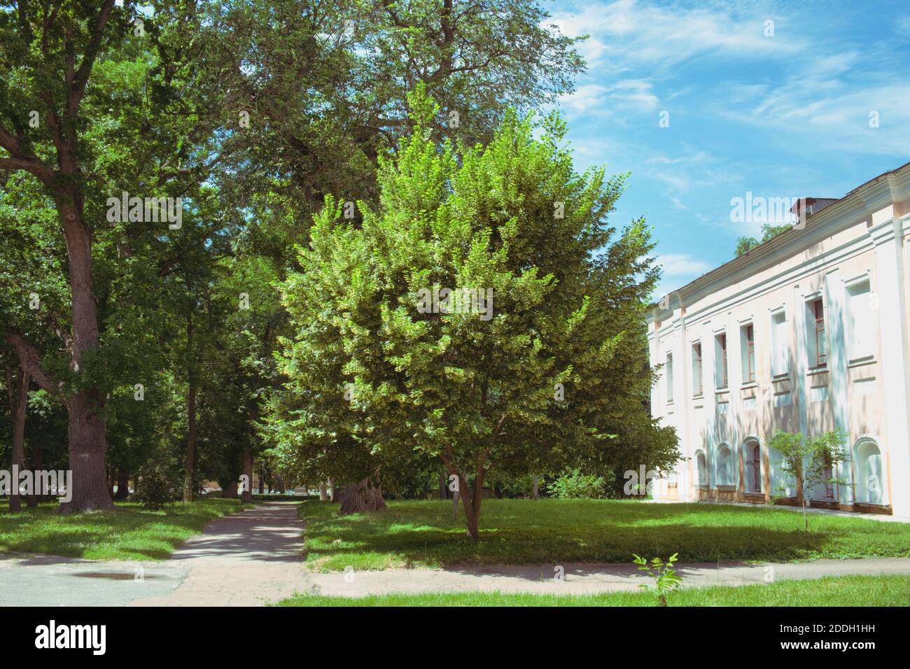 Linden tree house hires stock photography and images Alamy