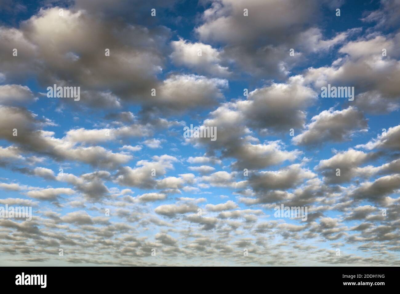 A dappled Mackerel cloudy sky is sometimes known as a buttermilk sky. Never long wet, never long dry. Stock Photo