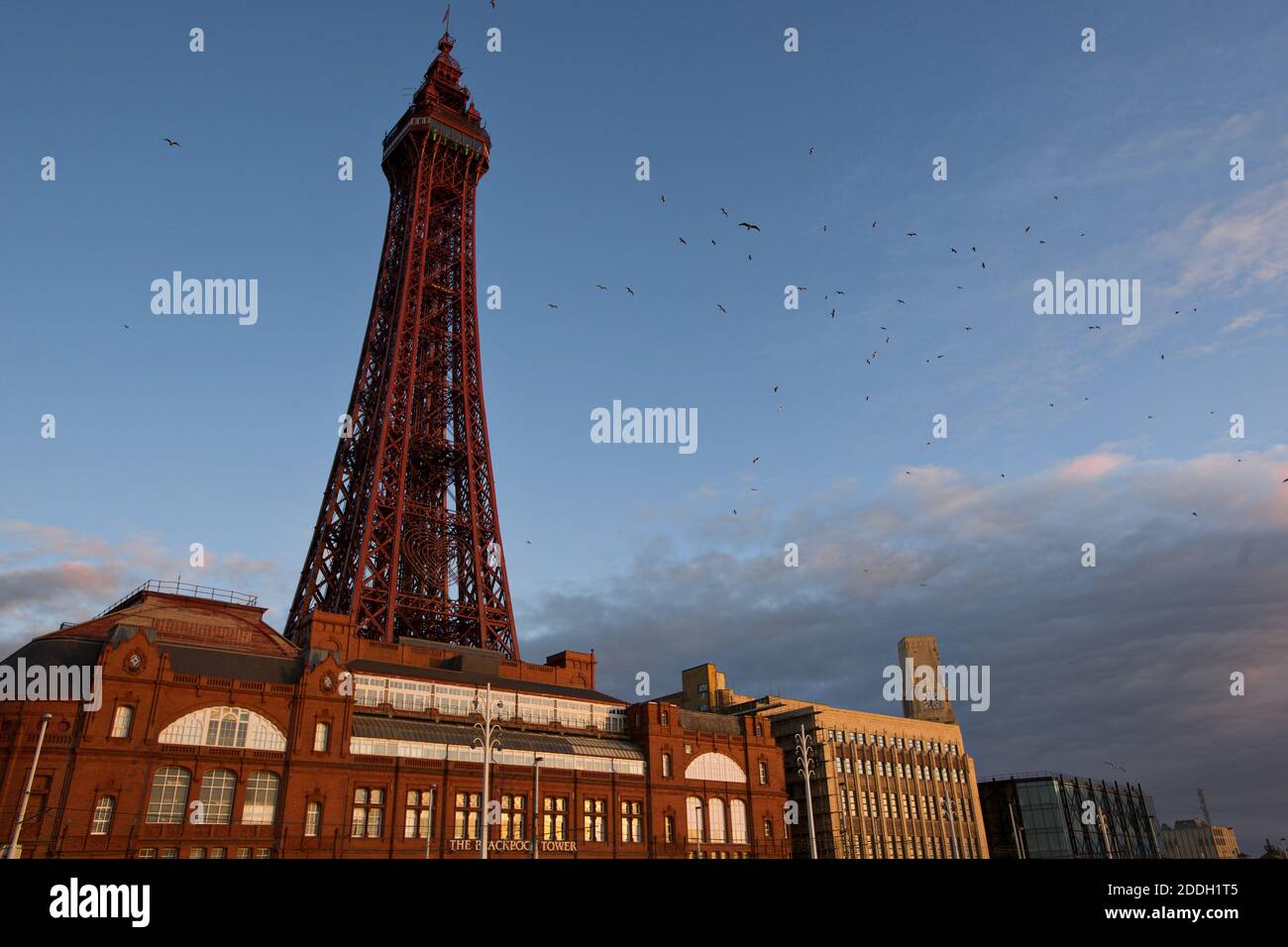 Blackpool Tower building and Comedy carpet, by artist Gordon Young, in sunset time, Blackpool, England, UK Stock Photo