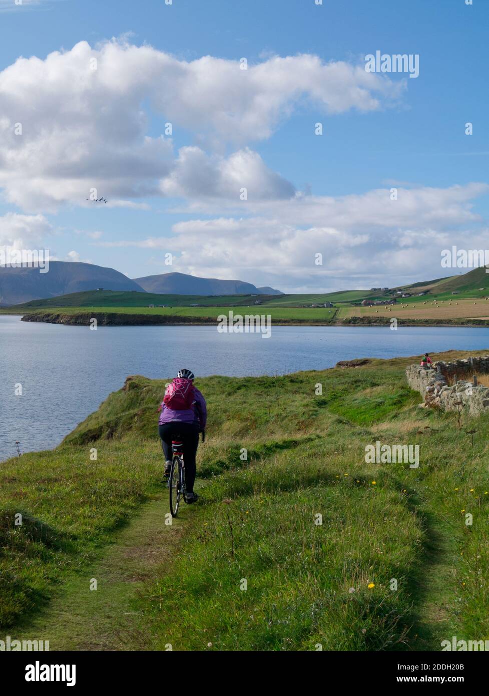 Female cyclist on coastal trail, Orkney Isles Stock Photo