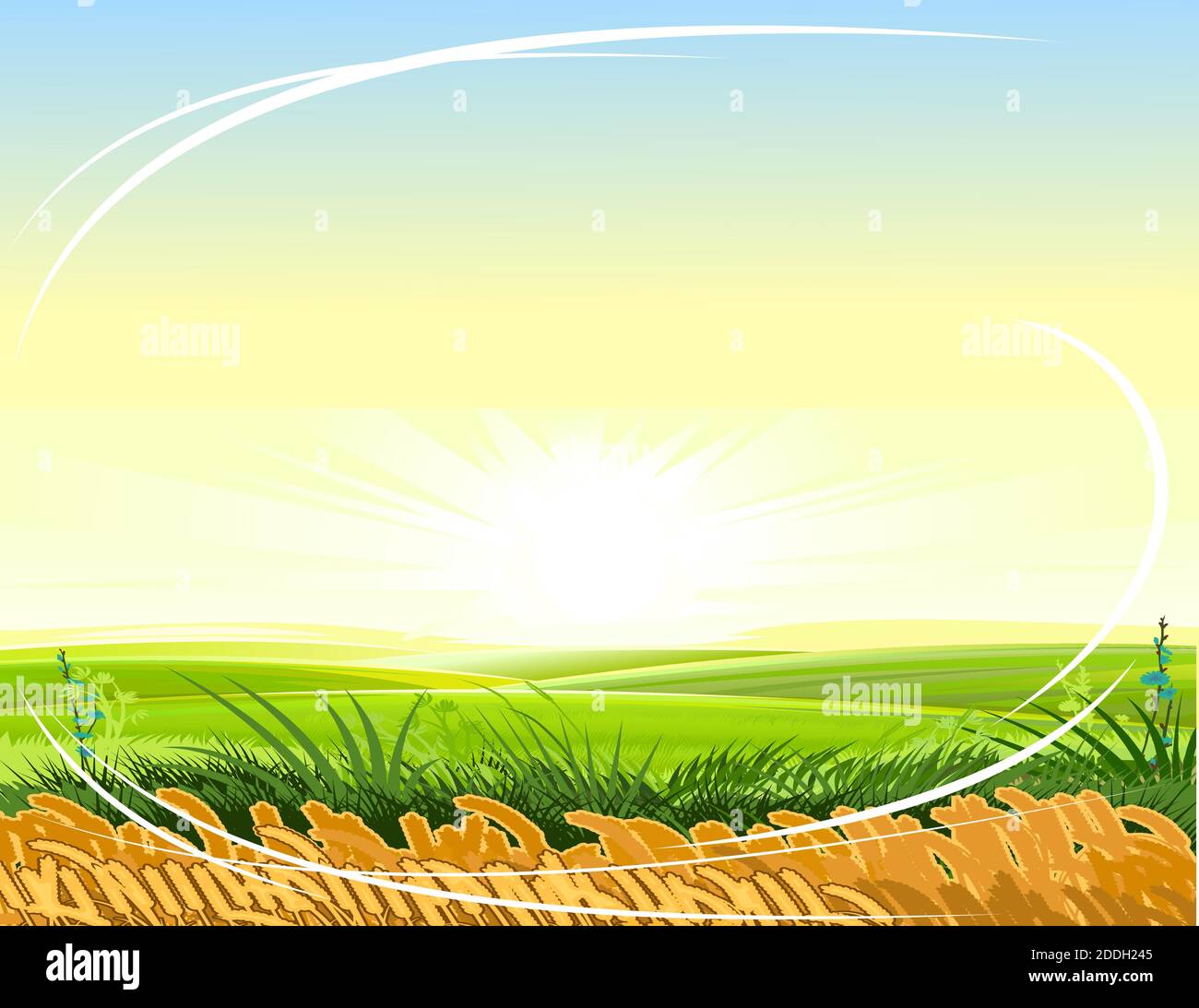Wheat field. Rural hills and meadows. Scenery. Horizon. Pasture grass for cows and a place for vegetable gardens and farming. Beautiful view. Summer. Stock Vector