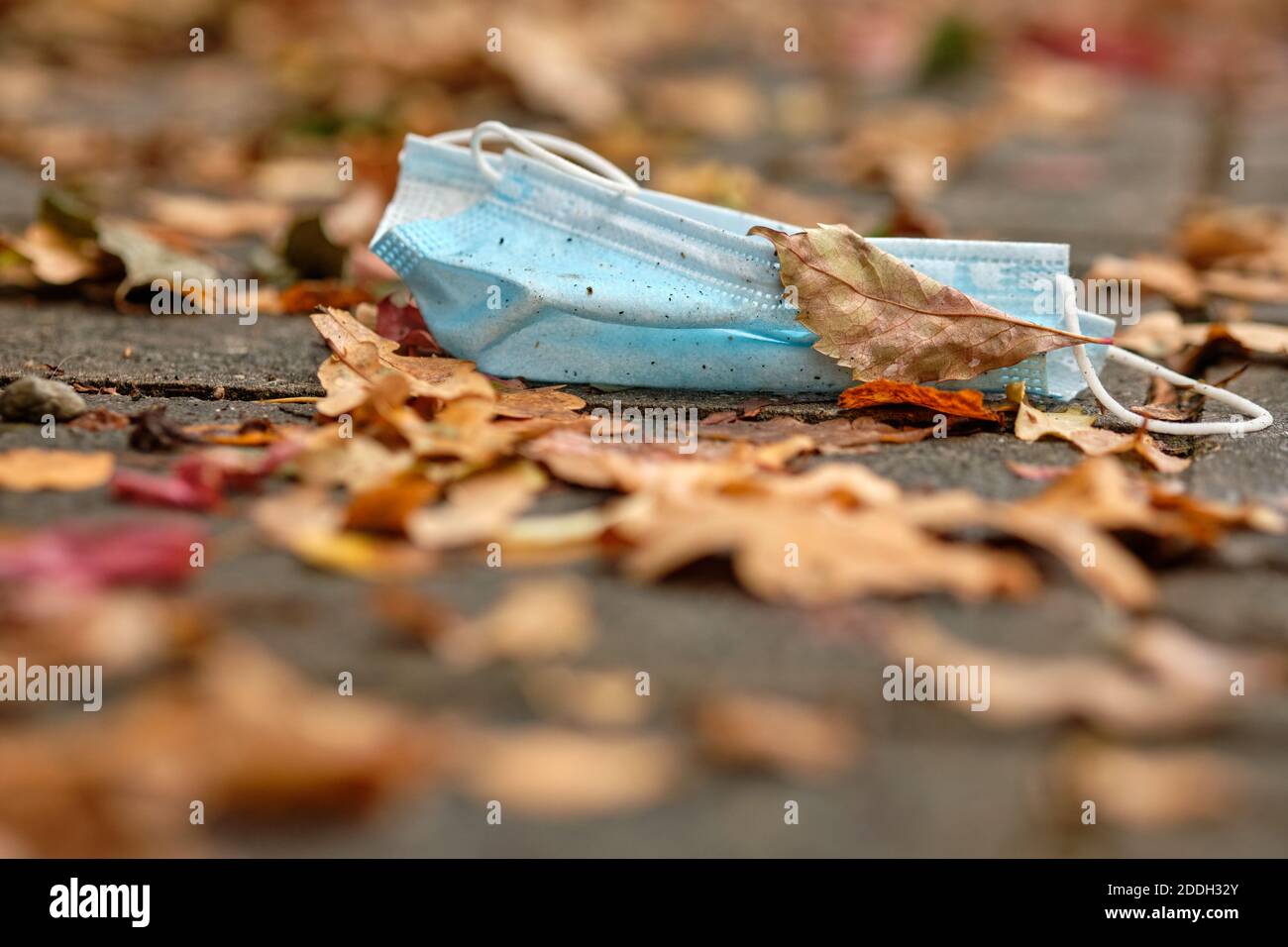 A thrown away dirty disposable face mask lying on the pavement under autumn leaves. Seen in Germany in October during corona crisis. Stock Photo
