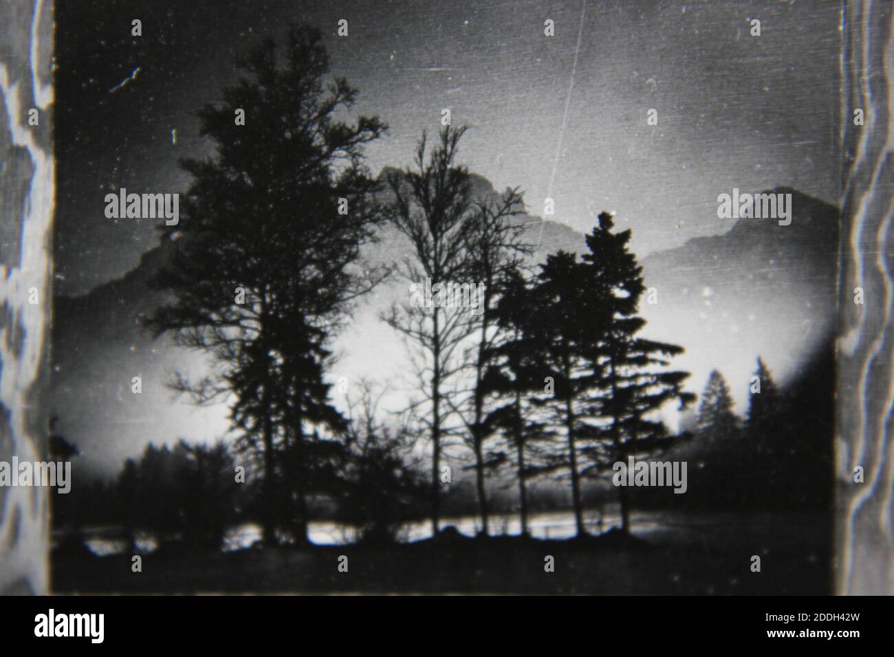 Fine 1970s vintage black and white photography of the natural beauty of ...