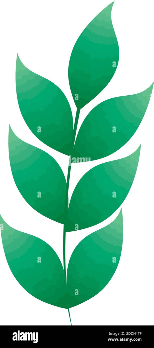 branch with leafs plant icon Stock Vector Image & Art - Alamy