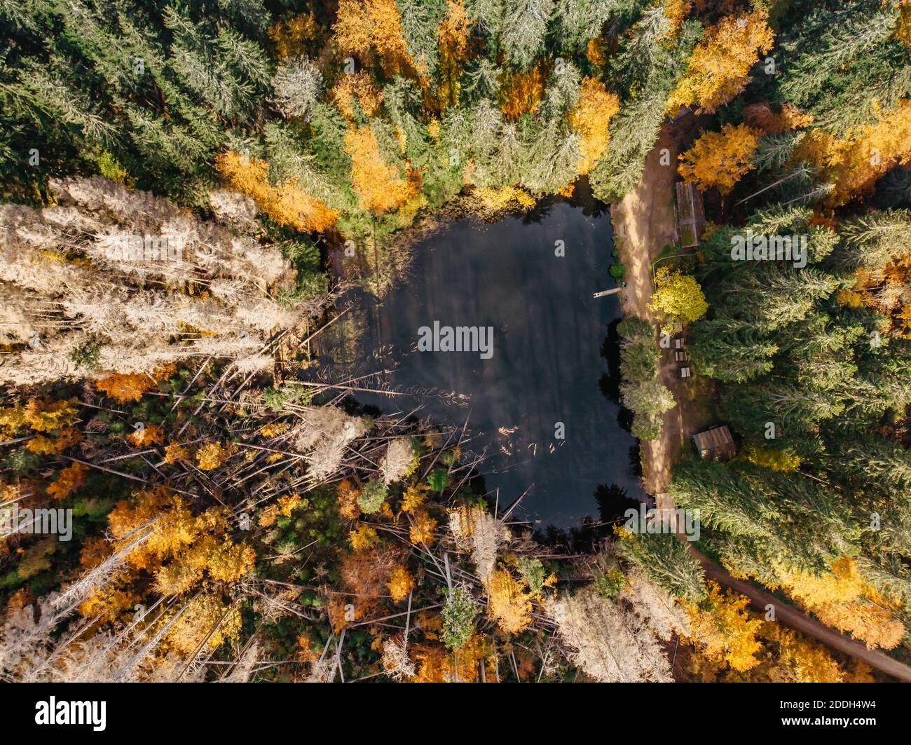 Fall forest landscape with lake view from above,Sumava, Czech republic.Colorful nature background.Autumn aerial drone view.Idyllic fall scenery Stock Photo