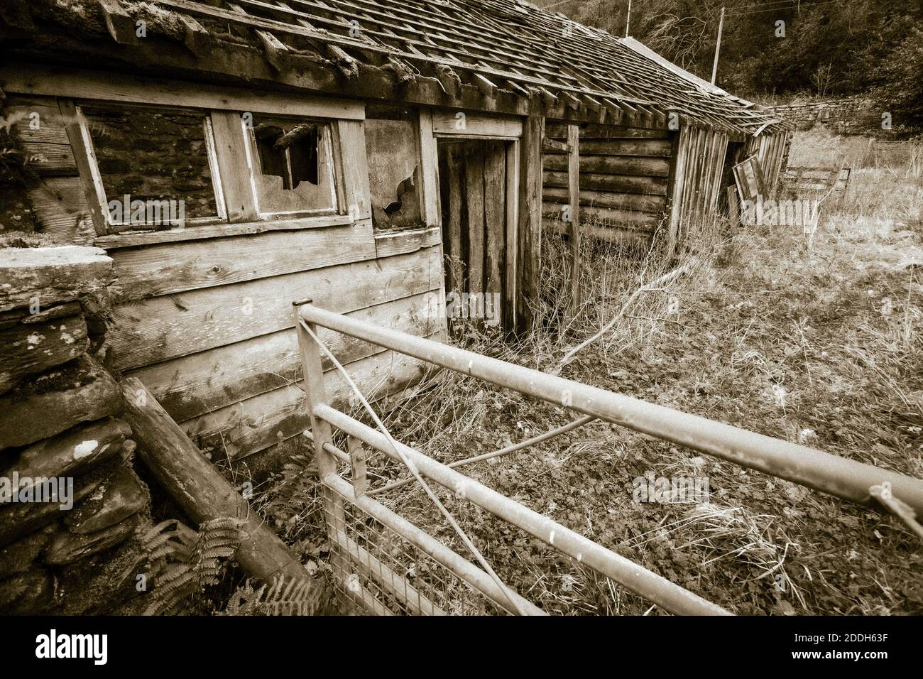 Broken down old shed at Vyrnwy, North Wales Stock Photo Alamy