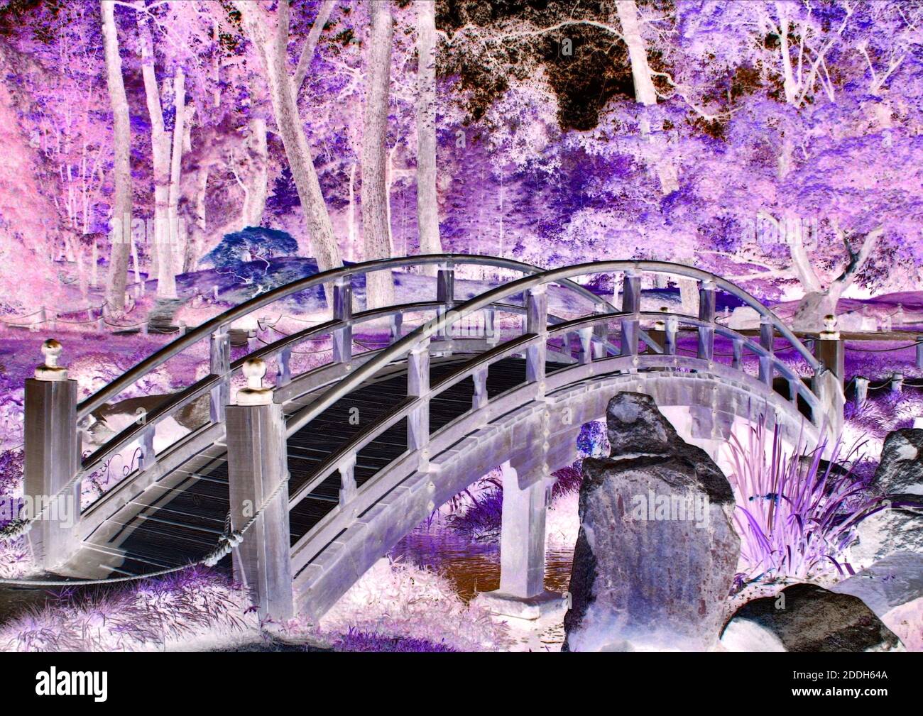 Lovely old bridge in a japanese style garden with colour inversions and enhancements from original image. Stock Photo