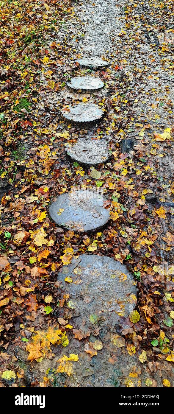 Walking trail in the national park in autumn Stock Photo