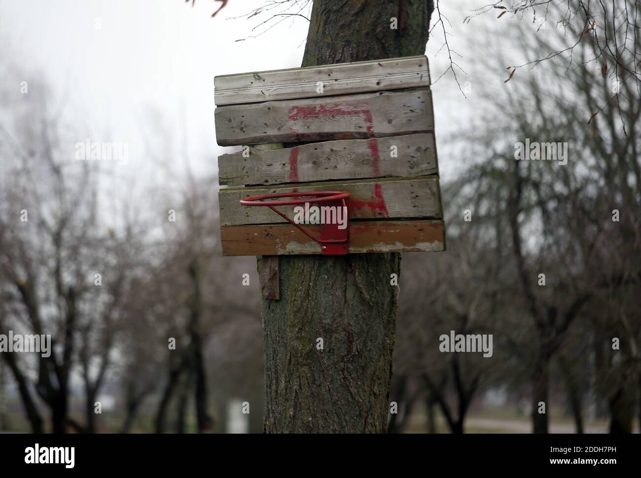 Old and rusty basketball hoop with tangled net, on an old wooden backboard. Lithuania Stock Photo