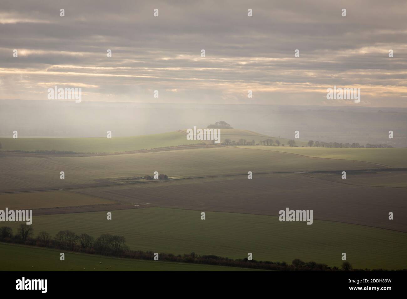 Foggy / Misty morning on Knap Hill in winter with views of the Vale of Pewsey, Wiltshire, England, UK Stock Photo