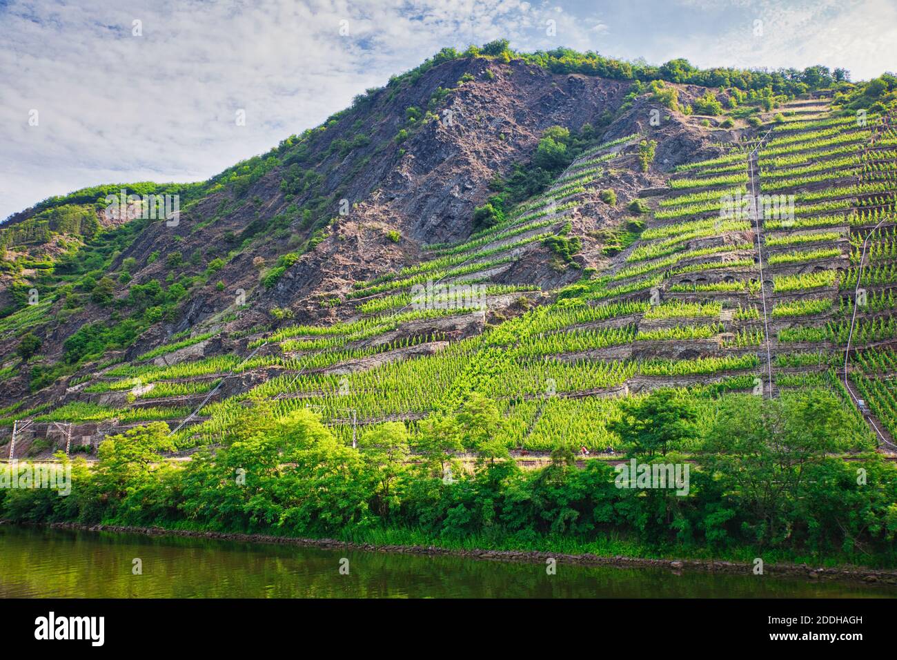 South facing slopes on the banks of the River Rhine in Germany getting the sunshine on the cultivated hillside which slope down to the river Stock Photo