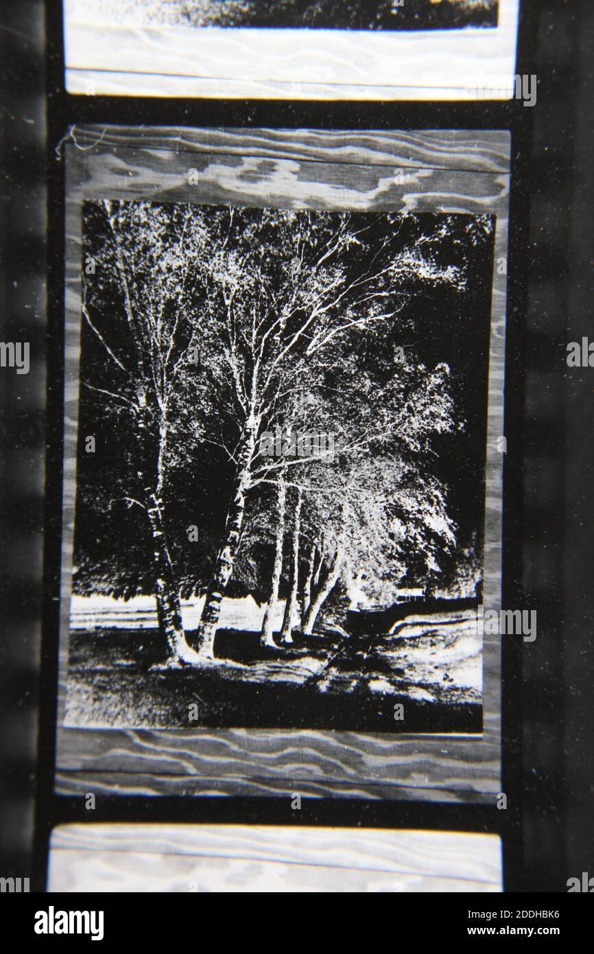 Fine 1970s vintage black and white photography of the natural beauty of ...