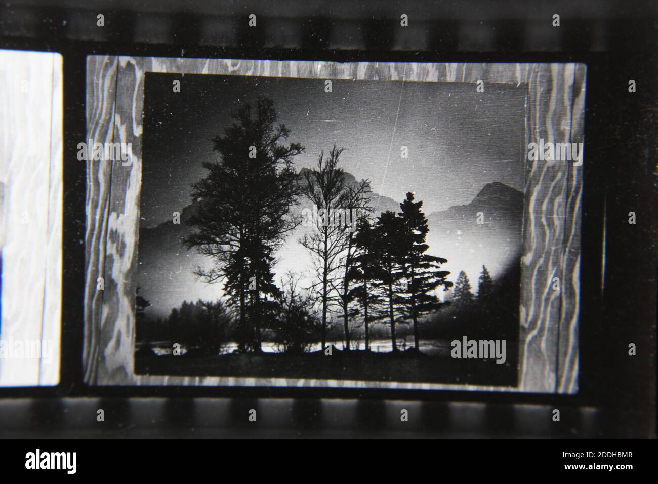Fine 1970s vintage black and white photography of the natural beauty of ...