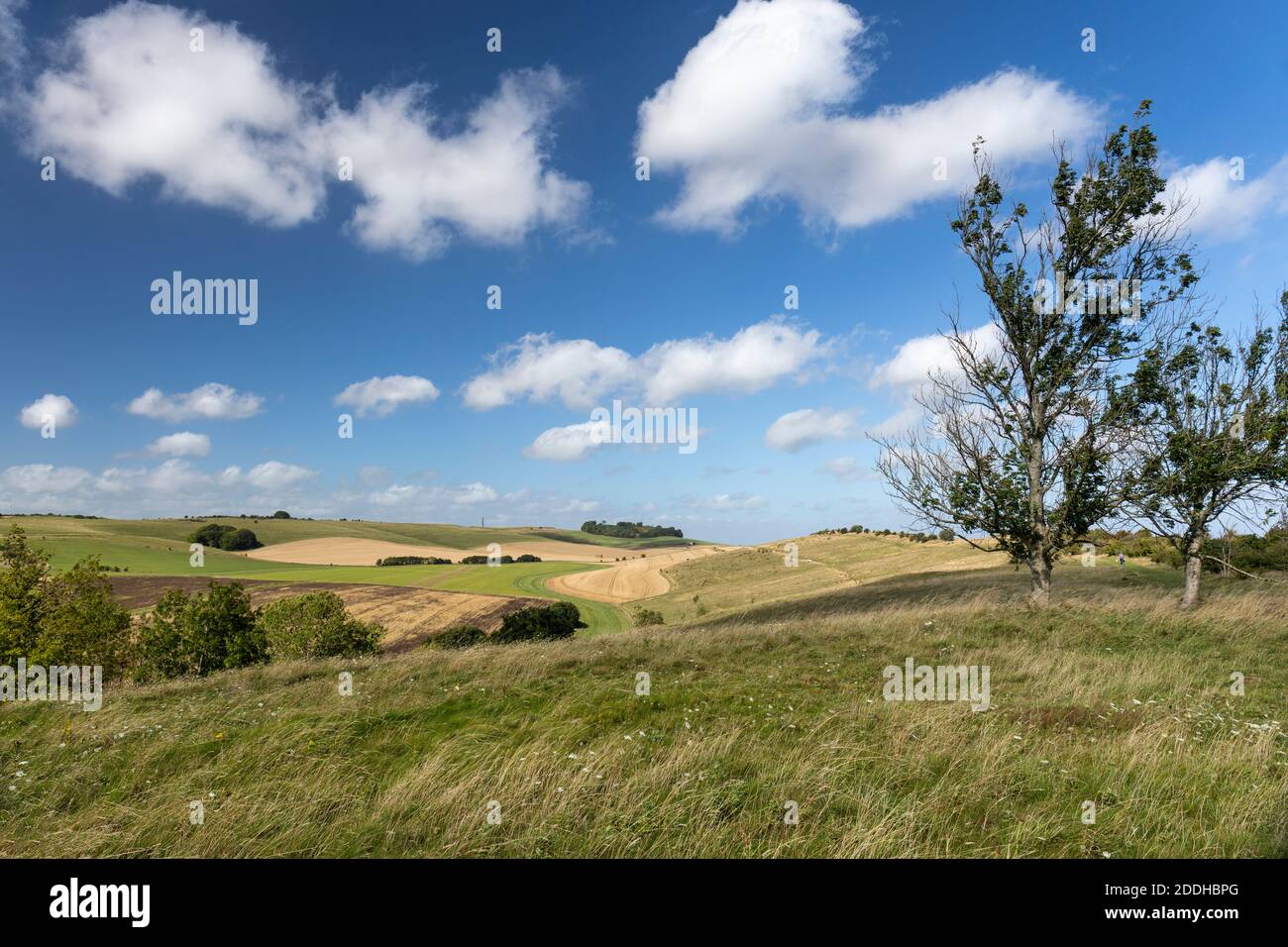 Typical english countryside hi-res stock photography and images - Alamy